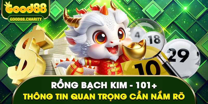 Rồng Bạch Kim – 101+ Thông Tin Quan Trọng Cần Nắm Rõ