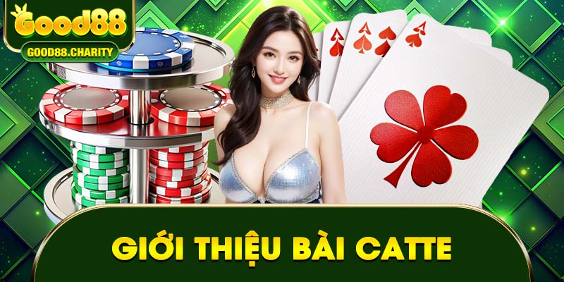 Giới thiệu bài Catte