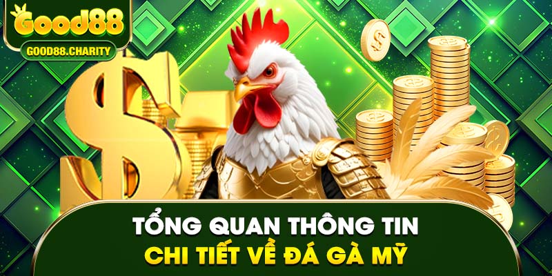 Tổng quan thông tin chi tiết về đá gà Mỹ