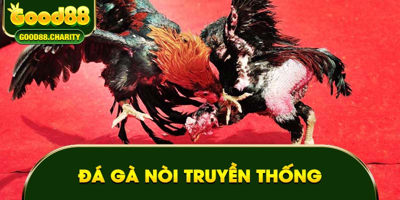 Đá gà nòi truyền thống